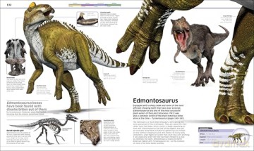 Knowledge Encyclopedia Dinosaur! (DK Knowledge Encyclopedias) - Dk [KSIĄŻKA]