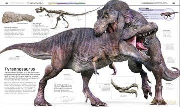 Knowledge Encyclopedia Dinosaur! (DK Knowledge Encyclopedias) - Dk [KSIĄŻKA]