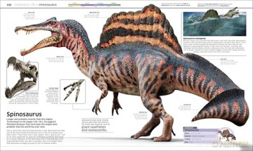 Knowledge Encyclopedia Dinosaur! (DK Knowledge Encyclopedias) - Dk [KSIĄŻKA]