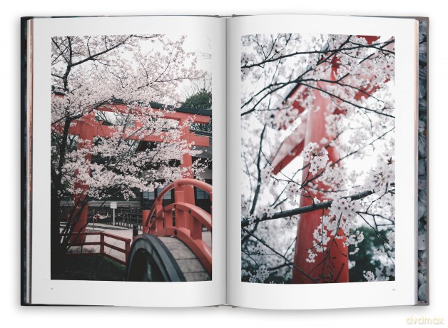 Kyoto Dreaming - Taro Moberly [KSIĄŻKA]