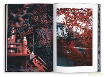 Kyoto Dreaming - Taro Moberly [KSIĄŻKA]