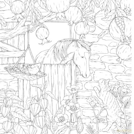 Leon's Journey Coloring Book: A Curious Cat's Seasonal Adventures (Design Originals) Whimsical Animal Scenes, Nature-Inspired Art, and Storybook Coloring from Kanoko Egusa - Relaxing Gift for Adults - Kanoko Egusa [KSIĄŻKA]