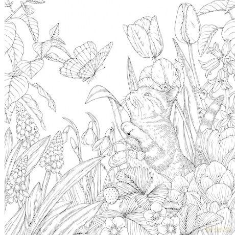 Leon's Journey Coloring Book: A Curious Cat's Seasonal Adventures (Design Originals) Whimsical Animal Scenes, Nature-Inspired Art, and Storybook Coloring from Kanoko Egusa - Relaxing Gift for Adults - Kanoko Egusa [KSIĄŻKA]