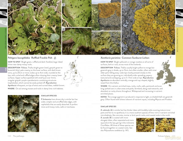 Lichens of Britain and Ireland: An Introductory Guide - Frances Stoakley [KSIĄŻKA]