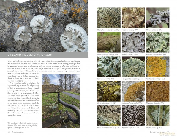 Lichens of Britain and Ireland: An Introductory Guide - Frances Stoakley [KSIĄŻKA]