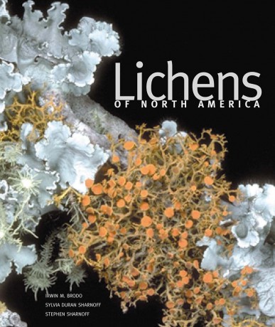 Lichens of North America - Irwin Brodo [KSIĄŻKA]