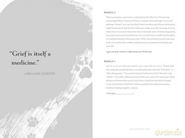Life After Pet Loss: Daily Reflections for Working Through Grief - Judith Eve Rosen [KSIĄŻKA]