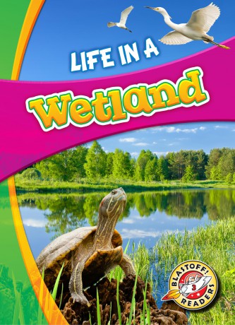 Life in a Wetland (Biomes Alive!) - Laura Hamilton Waxman [KSIĄŻKA]