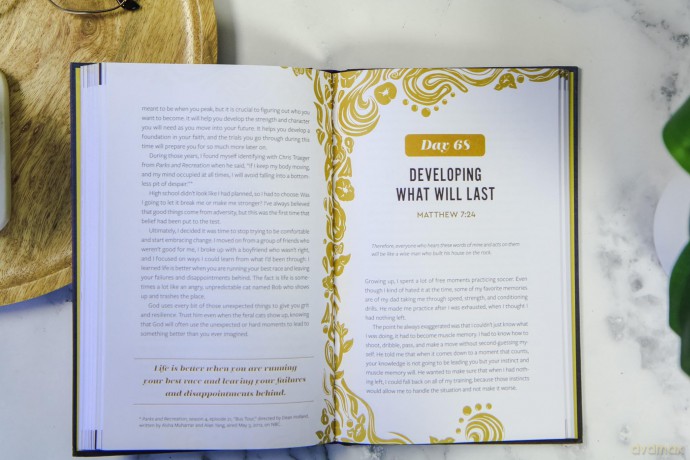 Lion and the Bear, The: A 100-Day Guide for Facing Your Giants - Melanie Shankle [KSIĄŻKA]