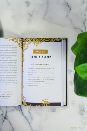 Lion and the Bear, The: A 100-Day Guide for Facing Your Giants - Melanie Shankle [KSIĄŻKA]