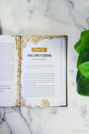 Lion and the Bear, The: A 100-Day Guide for Facing Your Giants - Melanie Shankle [KSIĄŻKA]