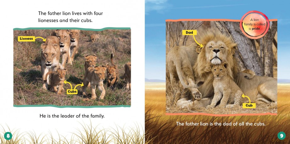 Lions - World's Best Animal Dads - Ruth Owen [KSIĄŻKA]
