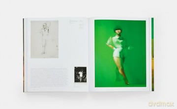Lisa Yuskavage: CONTEMPORARY ARTISTS SERIES (Phaidon Contemporary Artists Series) - Ariel Levy [KSIĄŻKA]