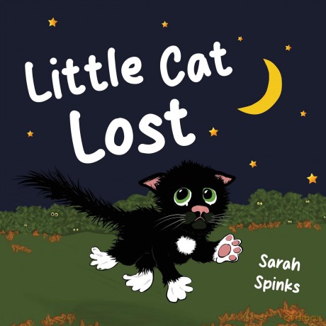 Little Cat Lost - Sarah Spinks [KSIĄŻKA]