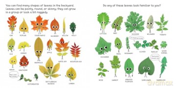 Little Seasons: Autumn Leaves - Mirka Hokkanen [KSIĄŻKA]