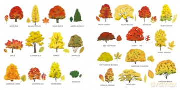 Little Seasons: Autumn Leaves - Mirka Hokkanen [KSIĄŻKA]