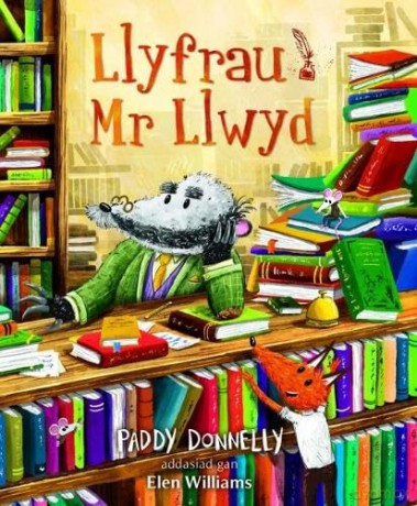 Llyfrau Mr Llwyd - Paddy Donnelly [KSIĄŻKA]