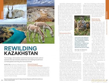Lonely Planet Central Asia: Perfect for exploring top sights and taking roads less travelled (Travel Guide) - Bradley Mayhew [KSIĄŻKA]