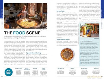 Lonely Planet Egypt (Travel Guide) - Sanad Tabbaa [KSIĄŻKA]