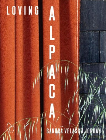 Loving Alpaca - Sandra Velasco Jordan [KSIĄŻKA]