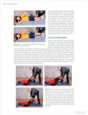 Low Back Disorders: Evidence-Based Prevention and Rehabilitation - Stuart McGill [KSIĄŻKA]