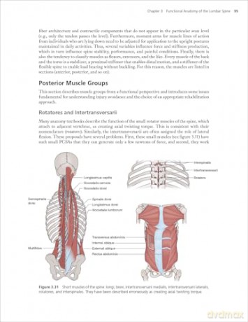 Low Back Disorders: Evidence-Based Prevention and Rehabilitation - Stuart McGill [KSIĄŻKA]