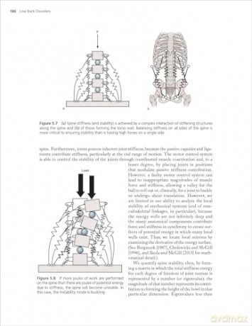 Low Back Disorders: Evidence-Based Prevention and Rehabilitation - Stuart McGill [KSIĄŻKA]