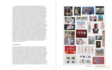 Luis Gordillo: Who Are I, Tell Me (Arte y Fotografía) - Bea Espejo [KSIĄŻKA]