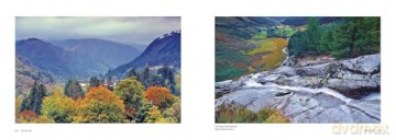 Magic Ireland: Legends and Landscapes - Gabrielle Alioth [KSIĄŻKA]