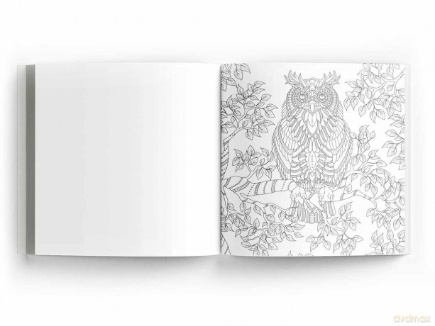 Majestic Animals: Colouring Books for Adults with Tear Out Sheets [KSIĄŻKA]