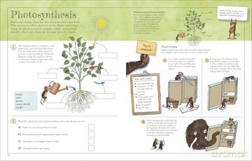 Mammoth Science Workbook: Practise Your Science Skills with a Little Help from Some Mammoths - Dk [KSIĄŻKA]