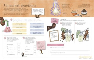 Mammoth Science Workbook: Practise Your Science Skills with a Little Help from Some Mammoths - Dk [KSIĄŻKA]