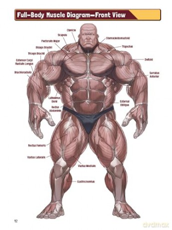 Manga Muscles: An Artist's Guide to Drawing Powerful Male Bodies (With Over 500 color and B&W illustrations) - Tojo Washi [KSIĄŻKA]