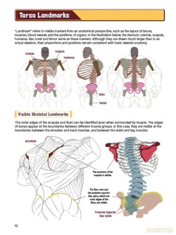 Manga Muscles: An Artist's Guide to Drawing Powerful Male Bodies (With Over 500 color and B&W illustrations) - Tojo Washi [KSIĄŻKA]