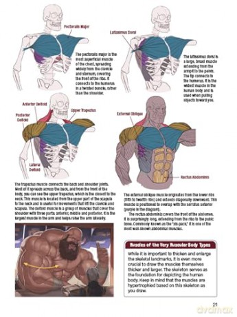 Manga Muscles: An Artist's Guide to Drawing Powerful Male Bodies (With Over 500 color and B&W illustrations) - Tojo Washi [KSIĄŻKA]
