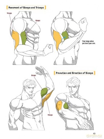 Manga Muscles: An Artist's Guide to Drawing Powerful Male Bodies (With Over 500 color and B&W illustrations) - Tojo Washi [KSIĄŻKA]
