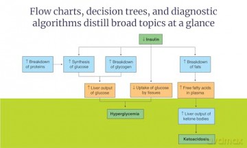 Master the Boards USMLE Step 2 CK, Eighth Edition (2026) - Conrad Fischer MD [KSIĄŻKA]