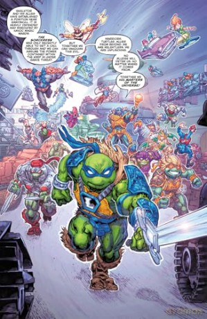 Masters of the Universe/Teenage Mutant Ninja Turtles: Turtles of Grayskull (Masters of the Universe/TMNT Crossover) - Tim Seeley [KSIĄŻKA]