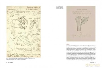 May Morris Designs: The Essence and Soul of Beautiful Embroidery - Lynn Hulse [KSIĄŻKA]