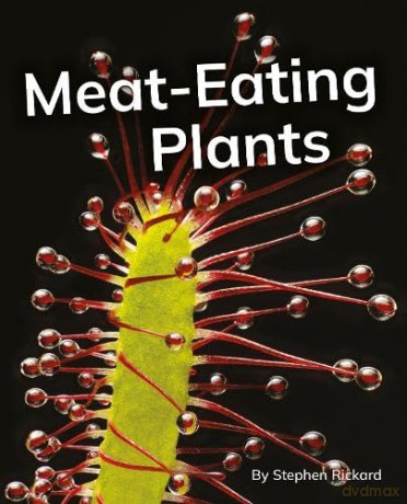 Meat-Eating Plants: Phonics Phase 5 (Reading Stars Achieve Phonics) [KSIĄŻKA]
