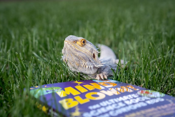 Mind Blown! The Ultimate Science Book for Curious Kids: 250+ Amazing Facts About Space, Animals, Human Biology, and More! - Shane Carley [KSIĄŻKA]