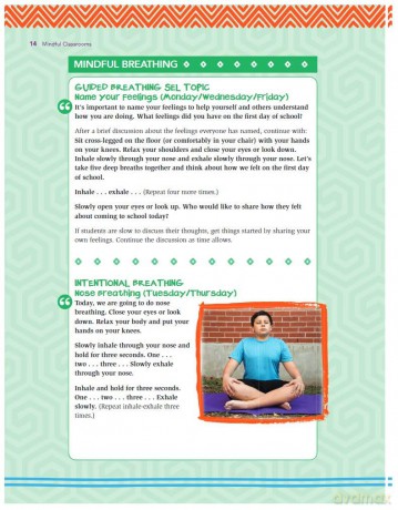 Mindful Classrooms: Daily 5-minute Practices to Support Social-emotional Learning, PreK to Grade 5 (Free Spirit Professional(tm)) - James Butler [KSIĄŻKA]