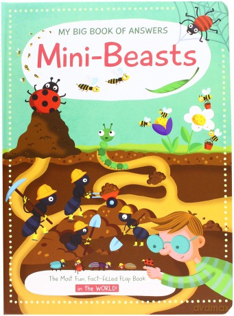Mini Beasts - Yoyo Books [KSIĄŻKA]