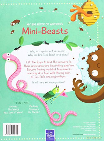Mini Beasts - Yoyo Books [KSIĄŻKA]