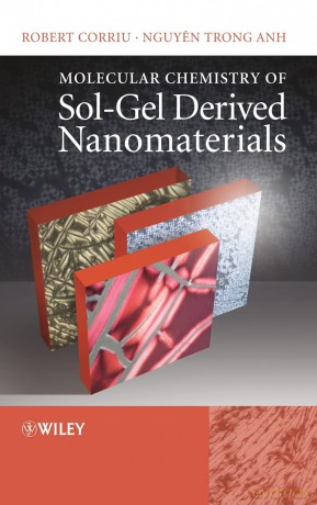Molecular Chemistry of Sol-Gel Derived Nanomaterials - Robert Corriu [KSIĄŻKA]