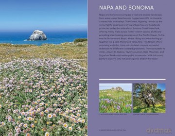 Moon 101 Great Hikes San Francisco Bay Area (7th Edition, Revised): Plus the Best Places to Eat, Drink, and Camp Nearby (Moon Hiking Travel Guide) - Ann Brown [KSIĄŻKA]