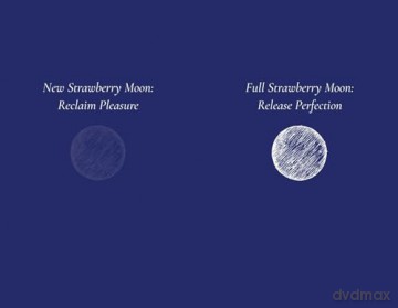Moon Garden: Poetry for Manifestation - Melody Godfred [KSIĄŻKA]
