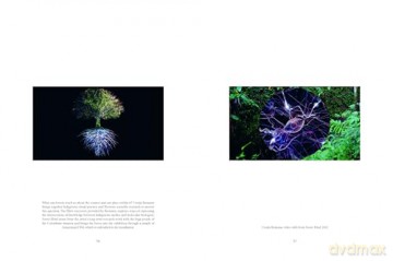 More Than Human: Making with the Living World - Justin McGuirk [KSIĄŻKA]