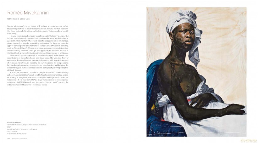 More than Meets the Eye: A tale of modern and contemporary art of Africa - Ousseynou Wade [KSIĄŻKA]