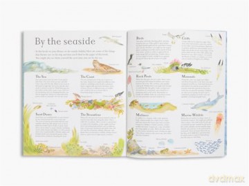 Mouse by the Sea (Mouse's Wood series) - Alice Melvin [KSIĄŻKA]